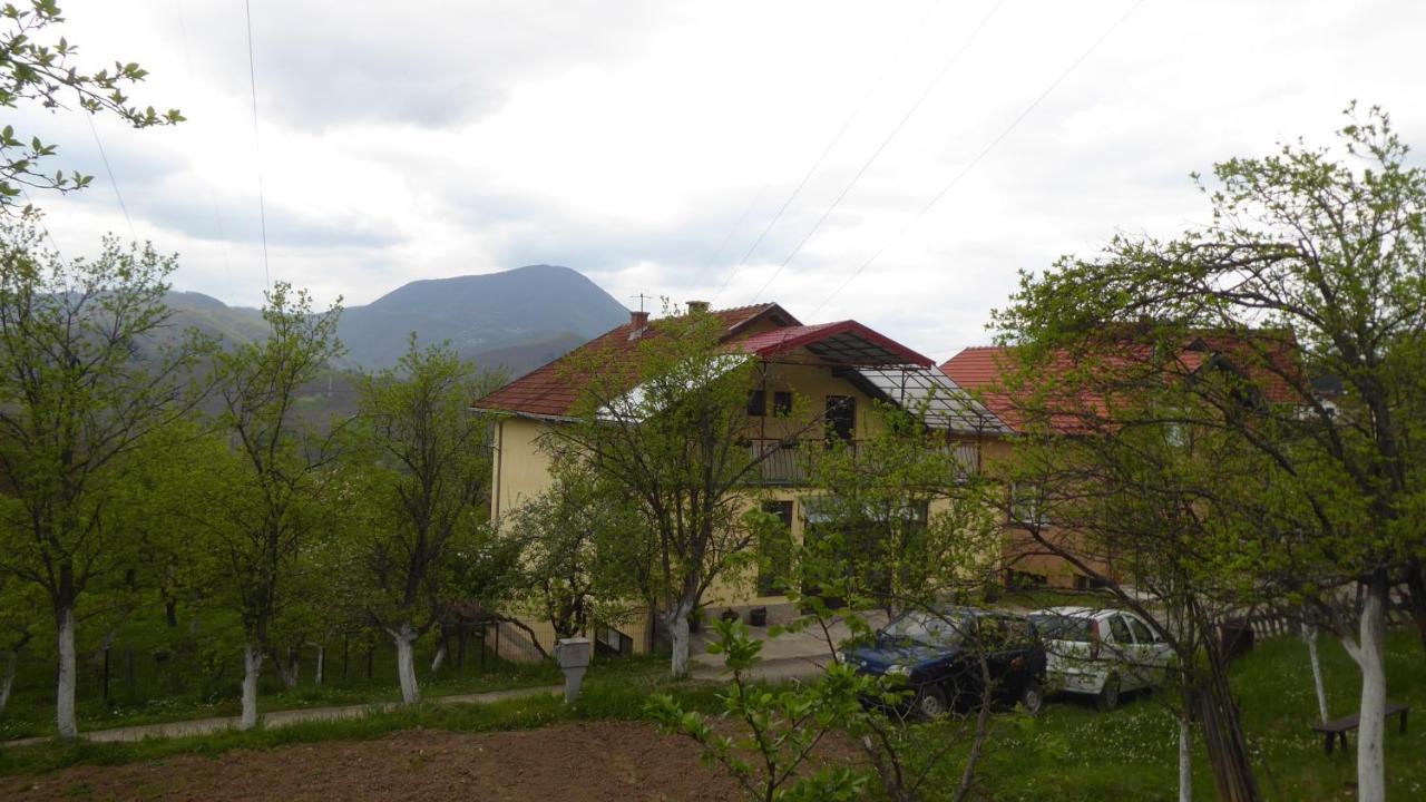 Guest House Pribojska Banja Exterior foto