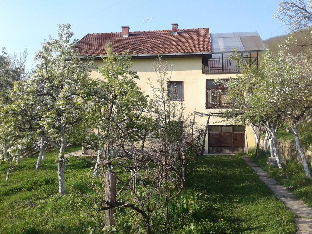 Guest House Pribojska Banja Exterior foto